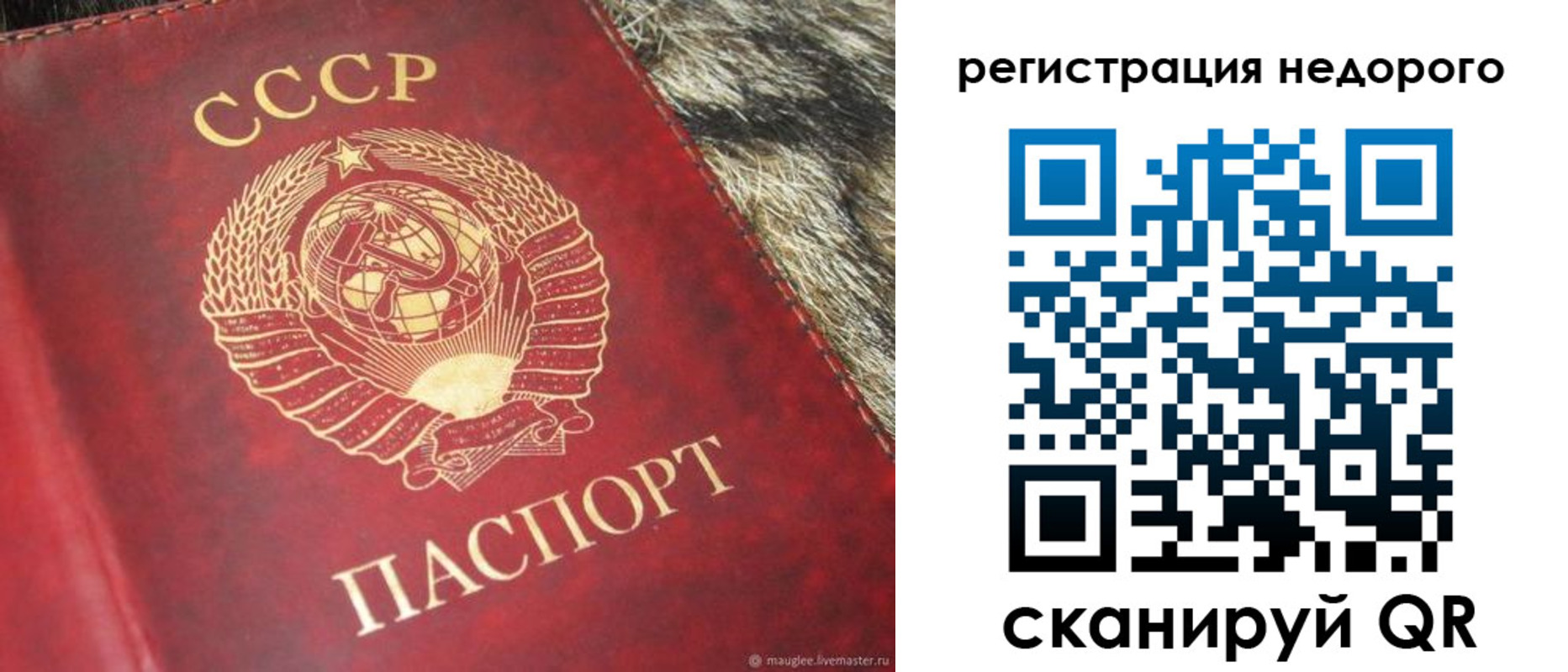 прописка ребенка в Новопавловске